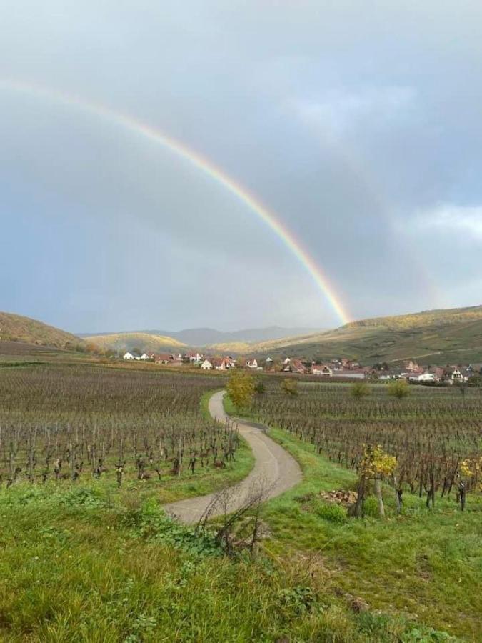 Un Petit Coin D'Alsace Villa Сулцмат Екстериор снимка