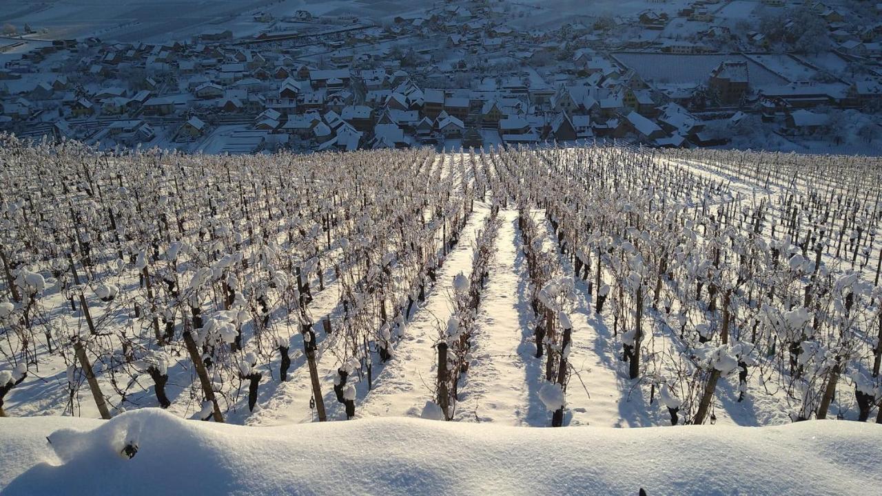 Un Petit Coin D'Alsace Villa Сулцмат Екстериор снимка