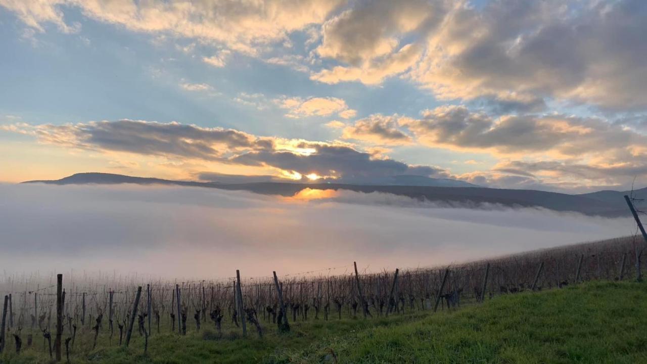 Un Petit Coin D'Alsace Villa Сулцмат Екстериор снимка